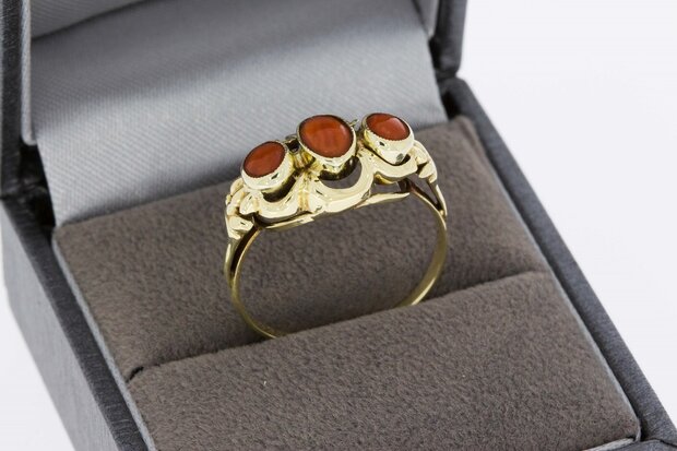 14 karaat gouden ring met Bloedkoraal - 18,8